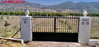 Decoracion cabezas caballo exteriores