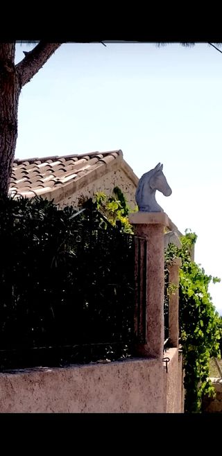 Decoracion cabezas de caballo exteriores