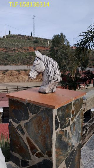 Decoracion cabezas de caballo exteriores