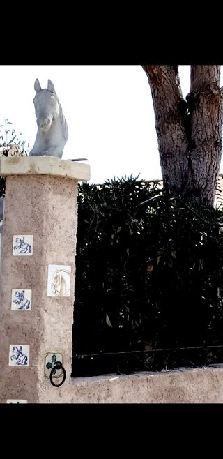 Decoracion cabezas de caballo exteriores