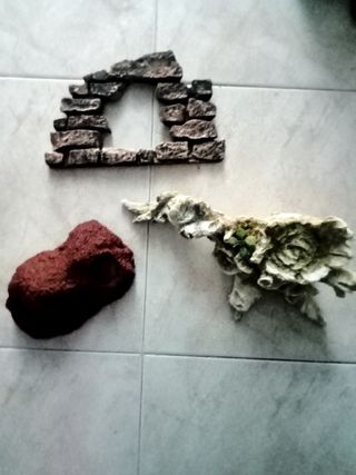 Decorazioni acquario 