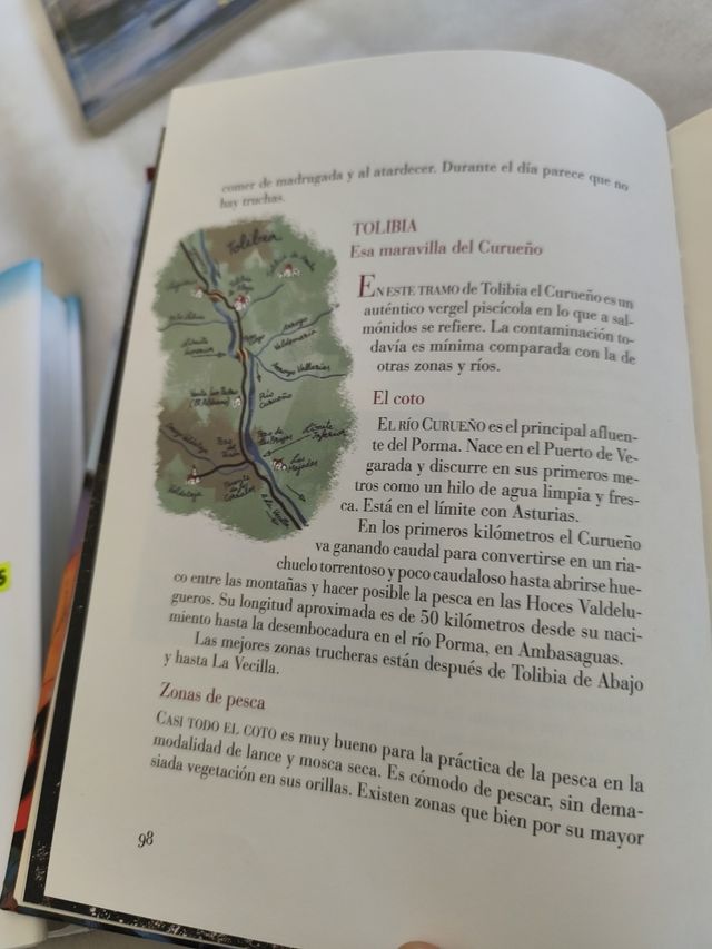 Dónde y cómo Pescar en León: Cotos, zonas libres, moscas, mosquitos y otras historias de pesca (Reino de Cordelia) (Spanish Edition)