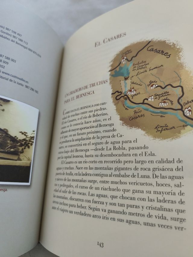 Dónde y cómo Pescar en León: Cotos, zonas libres, moscas, mosquitos y otras historias de pesca (Reino de Cordelia) (Spanish Edition)