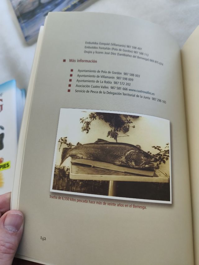 Dónde y cómo Pescar en León: Cotos, zonas libres, moscas, mosquitos y otras historias de pesca (Reino de Cordelia) (Spanish Edition)