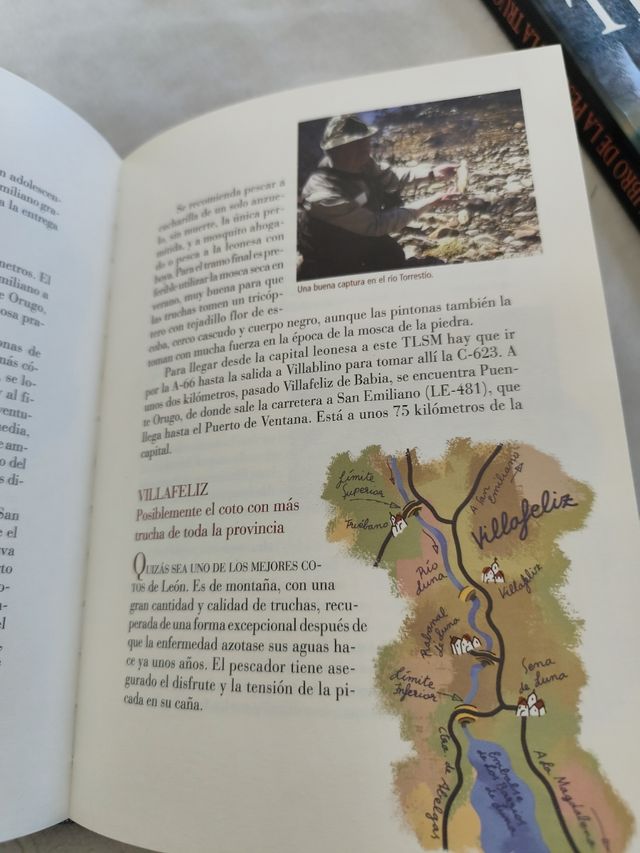 Dónde y cómo Pescar en León: Cotos, zonas libres, moscas, mosquitos y otras historias de pesca (Reino de Cordelia) (Spanish Edition)