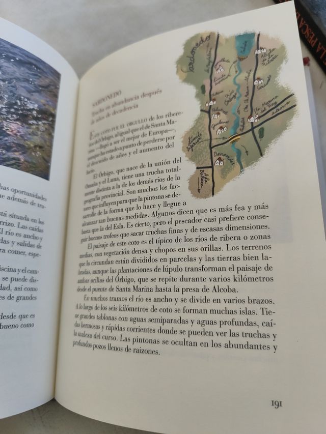 Dónde y cómo Pescar en León: Cotos, zonas libres, moscas, mosquitos y otras historias de pesca (Reino de Cordelia) (Spanish Edition)