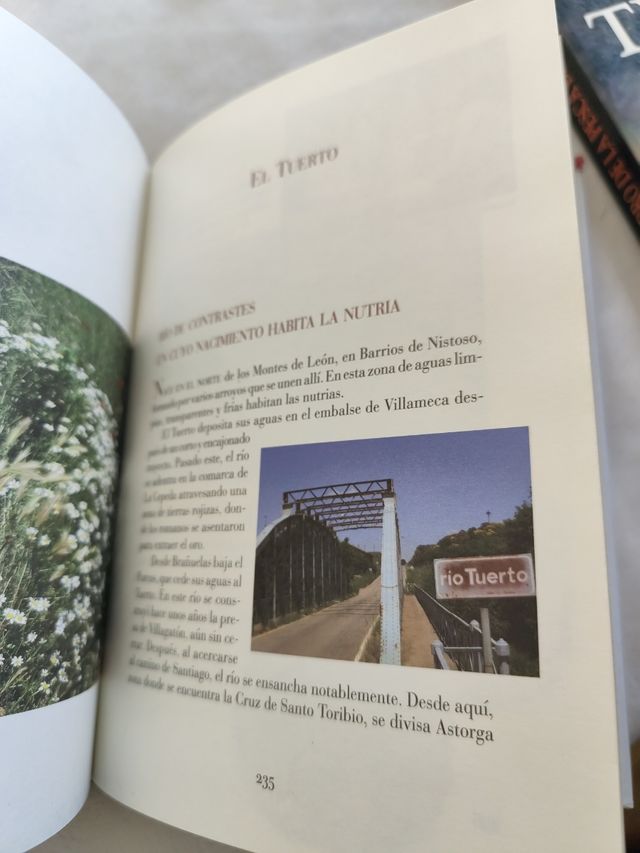 Dónde y cómo Pescar en León: Cotos, zonas libres, moscas, mosquitos y otras historias de pesca (Reino de Cordelia) (Spanish Edition)