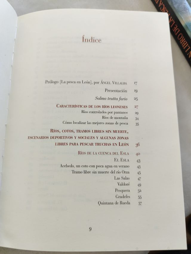 Dónde y cómo Pescar en León: Cotos, zonas libres, moscas, mosquitos y otras historias de pesca (Reino de Cordelia) (Spanish Edition)