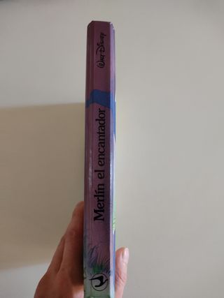 TARON Y EL CALDERO MAGICO, MERLÍN