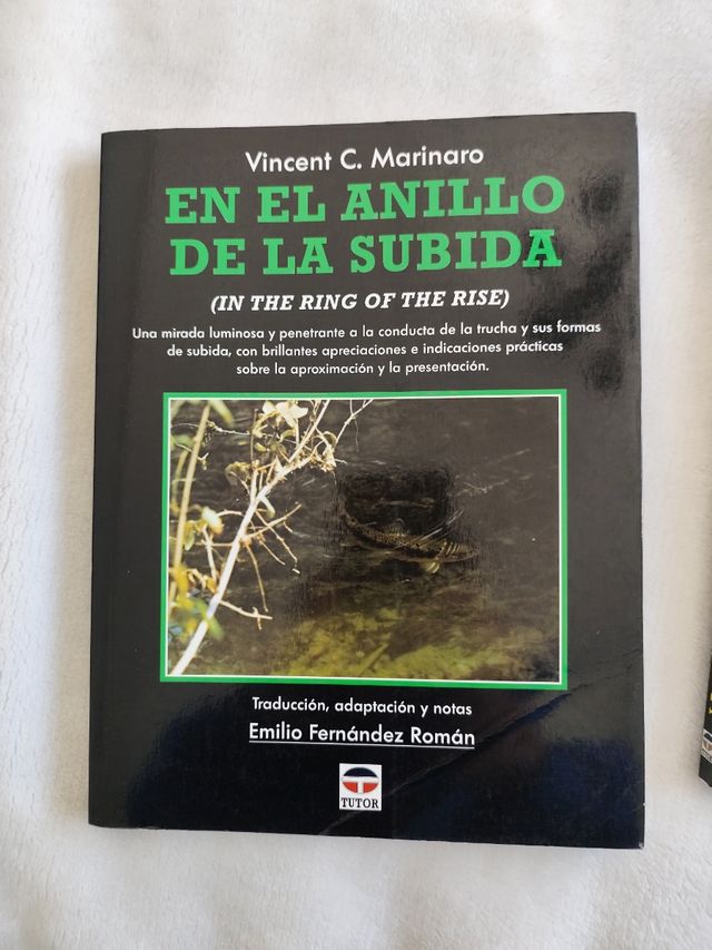 EN EL ANILLO DE LA SUBIDA