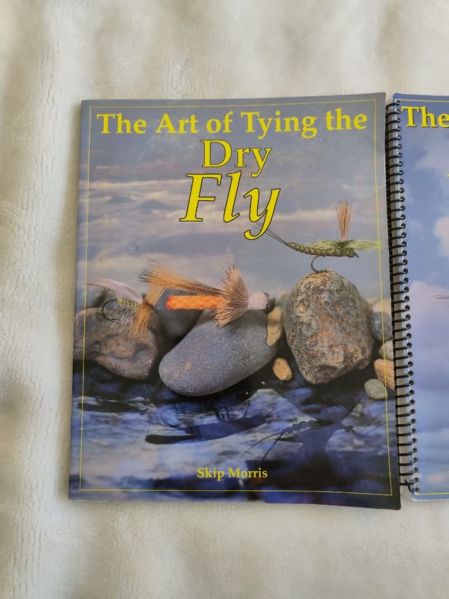 EN EL ANILLO DE LA SUBIDA