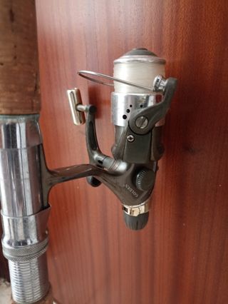 Caña pesca con carrete