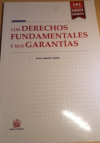 Los Derechos Fundamentales y sus Garantías (Manuales de Derecho Constitucional) (Spanish Edition)