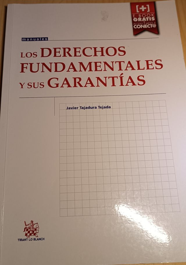 Los Derechos Fundamentales y sus Garantías (Manuales de Derecho Constitucional) (Spanish Edition)