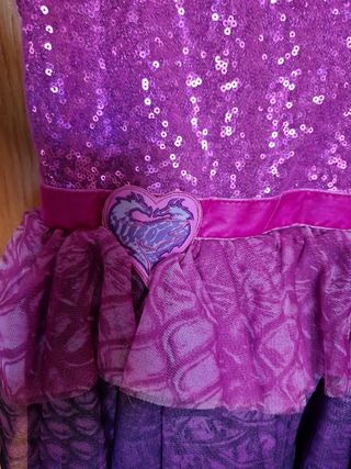 Vestito carnevale