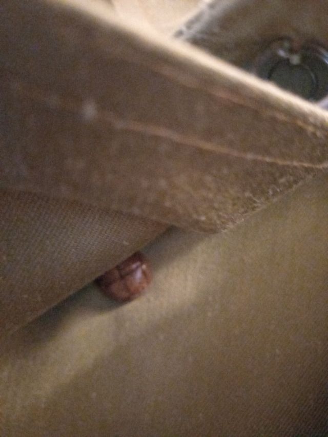 Cappotto dell'esercito spagnolo degli anni '70