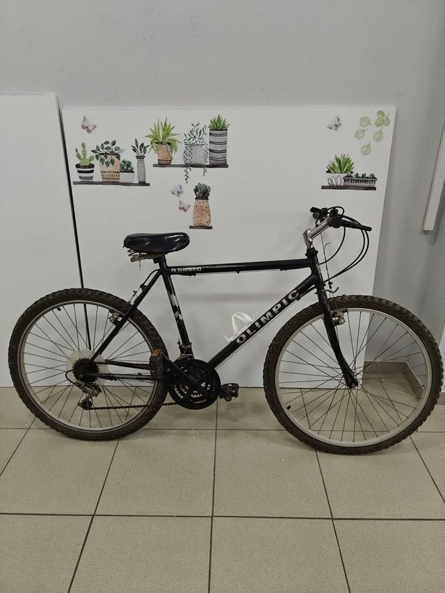 Bicicleta de Montaña Clásica Shimano Olimpic