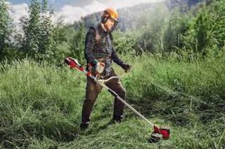 Jardiniero 624311418