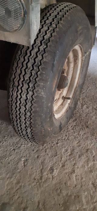 Remolque para perros 