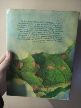 Un fantástico viaje en globo