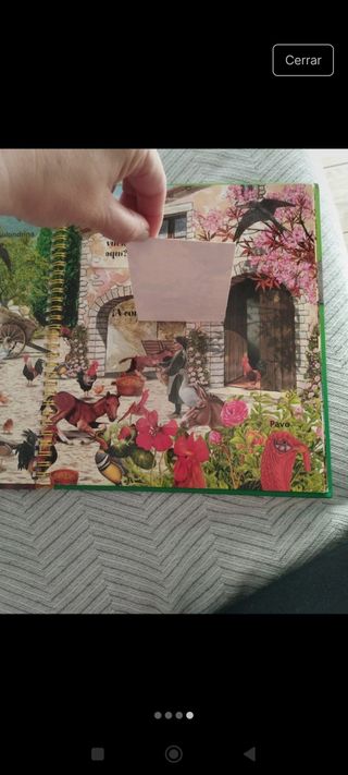 Animales de la granja (Ventanas curiosas / Curious Windows) (Spanish Edition)