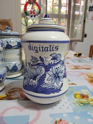 Vasi ceramica porta erbe da Farmacia