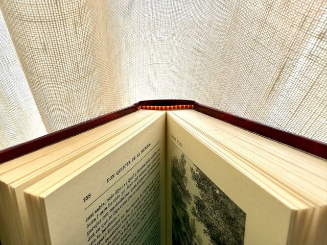 Libro Conmemorativo Don Quijote