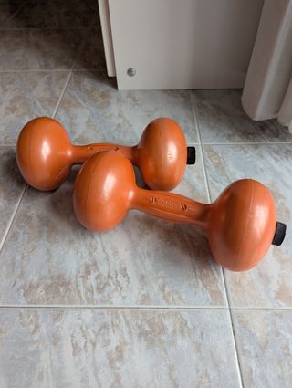 2 manubri ER Rovera da 2 kg