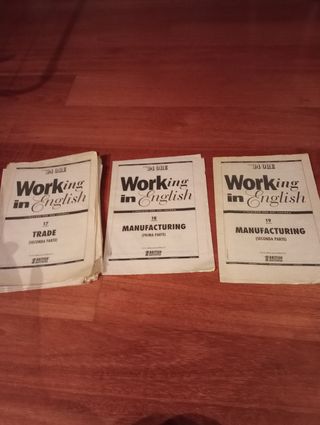 Corso d'inglese Working in English