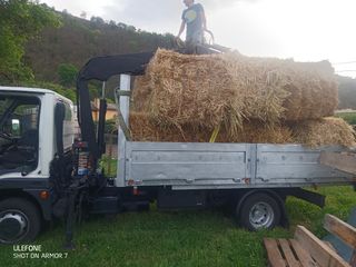 Transportes camion grúa y pick up.