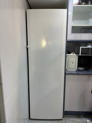 Liebherr Nevera y congelador vertical