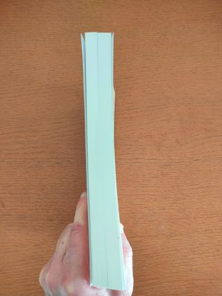 Libro de Qigong en inglés.