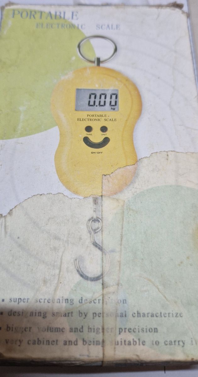 Bilancia elettronica