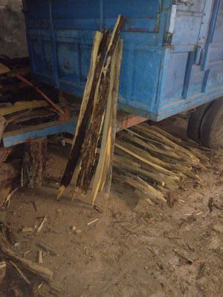 Tutores para planta pequeña de acacia