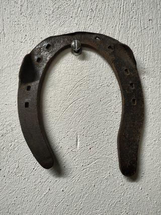 Ferro di cavallo vintage portafortuna.