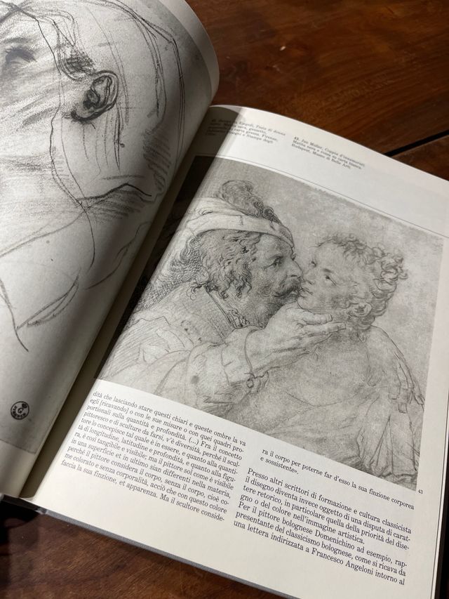 Il disegno forme tecniche significati