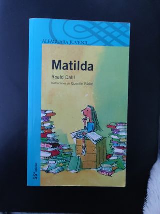 MATILDA (Spanish Edition)
