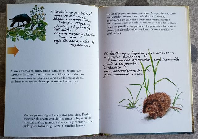 Colección libro secreto de los Gnomos