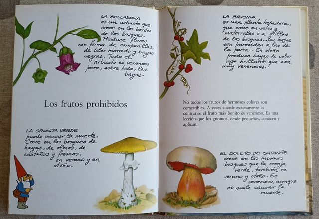 Colección libro secreto de los Gnomos