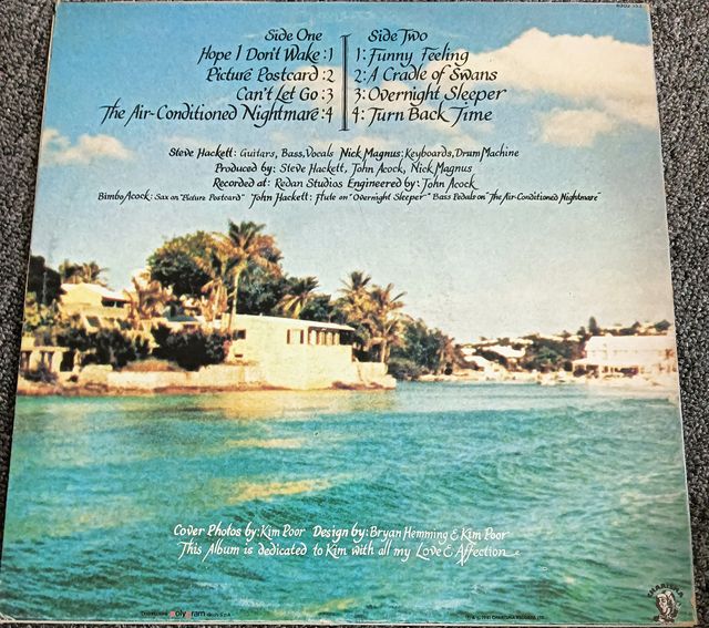 Steve Hackett cured 1981 vinile perfetto