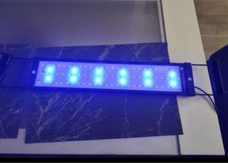 NUEVO Luz de acuario con temporizador