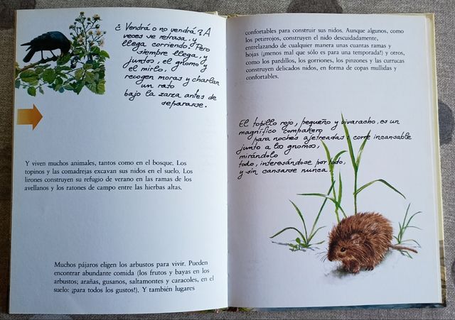 El libro secreto de los gnomos