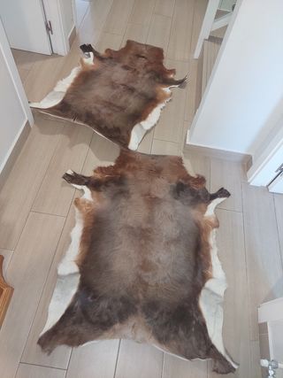 ALFOMBRAS DE VACA AUTENTICA