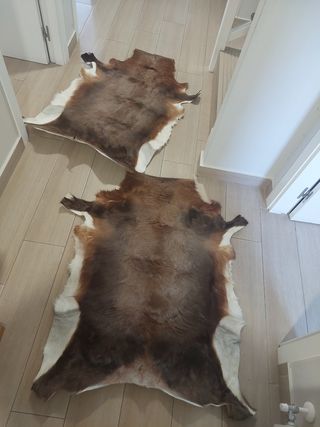 ALFOMBRAS DE VACA AUTENTICA