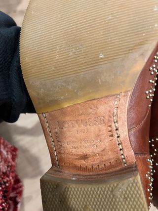 Blucher Lottusse