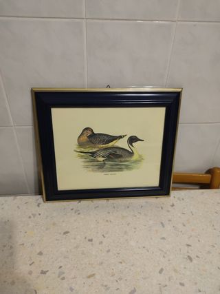 Quadro