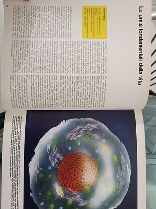 Enciclopedia della Salute