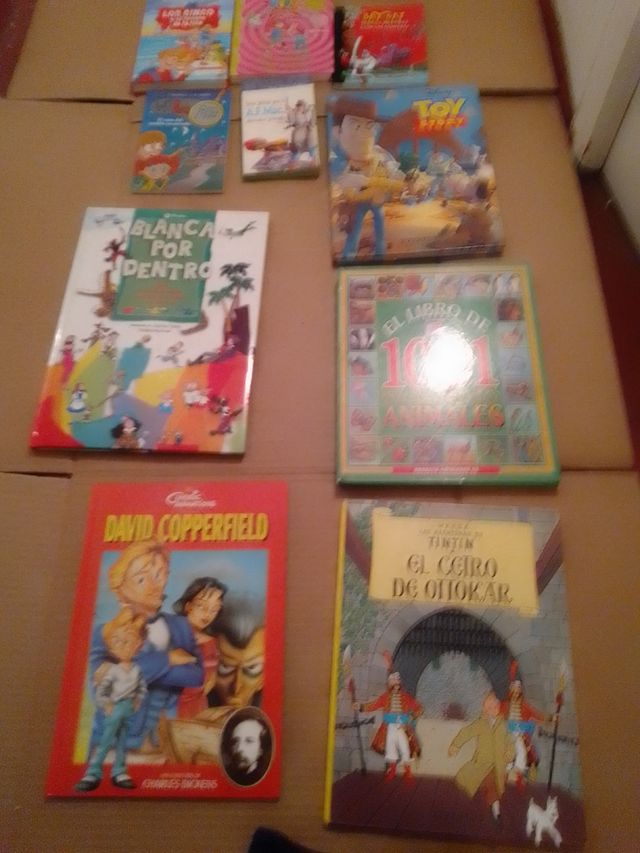 Lote 10 libros infantiles
