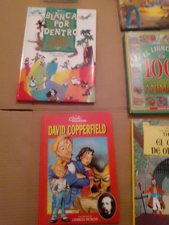 Lote 10 libros infantiles