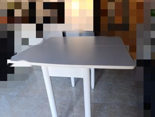Mesa plegable + 2 sillas compañeras.